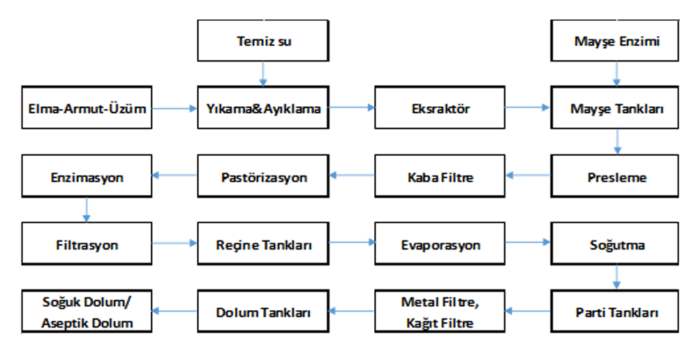 PG Solutions ile Meyve Suyu Üretim Süreci